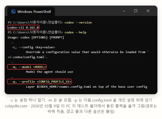 코덱스 0.162.0 PowerShell, codex --version 은 codex-cli 0.162.0, codex --help 중 -c --config 설정 하나 덮기, -m --model 쓸 모델, -p --profile CODEX_HOME 의 이름.config.toml 을 개인 설정 위에 얹음