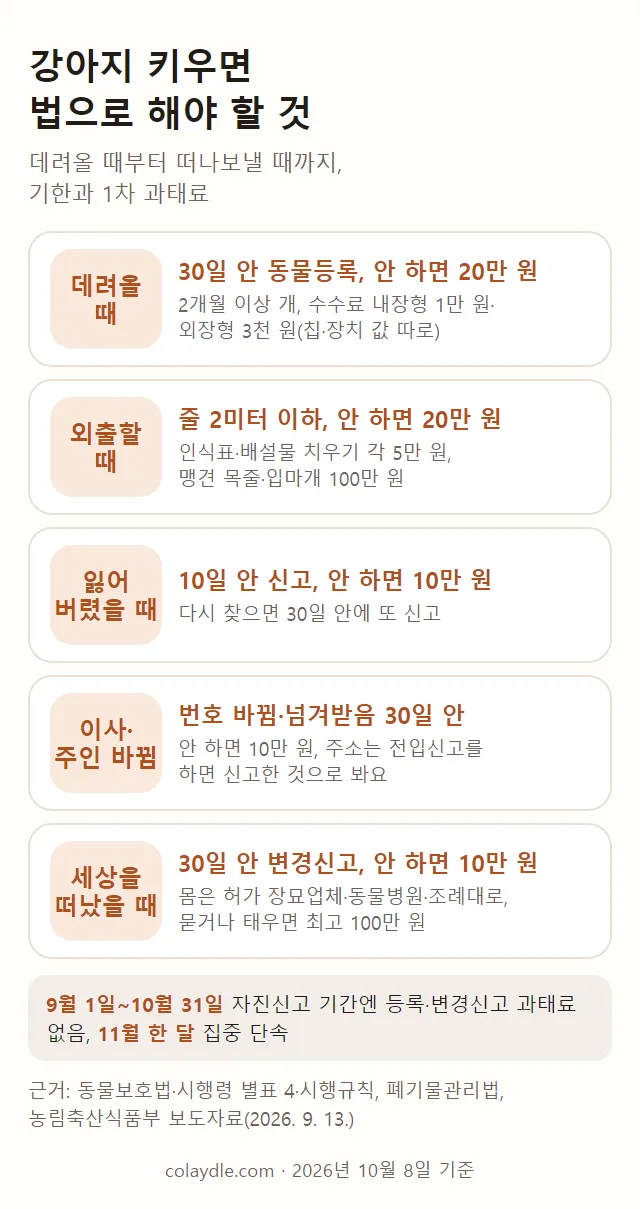 강아지 키우면 법으로 해야 할 것 정리 그림, 데려올 때 30일 안 동물등록 안 하면 20만 원 수수료 내장형 1만 원 외장형 3천 원, 외출할 때 줄 2미터 이하 안 하면 20만 원 인식표 배설물 각 5만 원 맹견 목줄 입마개 100만 원, 잃어버렸을 때 10일 안 신고 10만 원, 번호 바뀜 넘겨받음 30일 안 10만 원 주소는 전입신고로, 세상을 떠났을 때 30일 안 변경신고 10만 원 묻거나 태우면 최고 100만 원, 9월 1일부터 10월 31일 자진신고 기간 과태료 없음 11월 집중 단속