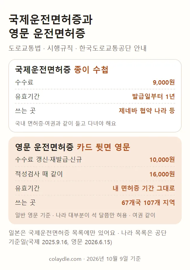 국제운전면허증과 영문 운전면허증 비교 그림, 국제운전면허증은 종이 수첩 수수료 9,000원 발급일부터 1년 제네바 협약 나라 등, 영문 운전면허증은 카드 뒷면 영문 갱신 재발급 신규 10,000원 적성검사 때 16,000원 내 면허증 기간 그대로 67개국 107개 지역, 일본은 국제운전면허증 목록에만 있음