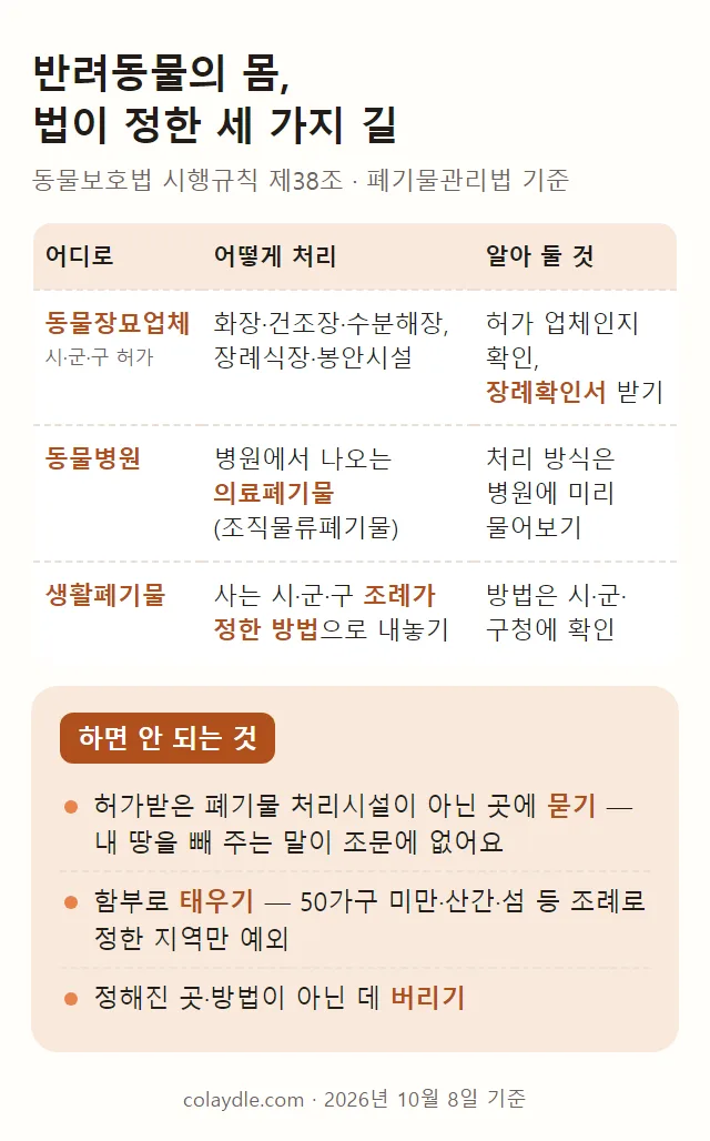 반려동물의 몸 법이 정한 세 가지 길 표 그림, 동물장묘업체는 시군구 허가이고 화장 건조장 수분해장 장례식장 봉안시설이며 허가 업체인지 확인하고 장례확인서 받기, 동물병원은 병원에서 나오는 의료폐기물 조직물류폐기물이고 처리 방식은 병원에 미리 물어보기, 생활폐기물은 사는 시군구 조례가 정한 방법으로 내놓기이고 방법은 시군구청에 확인, 하면 안 되는 것 허가받은 폐기물 처리시설이 아닌 곳에 묻기 함부로 태우기 정해진 곳이 아닌 데 버리기